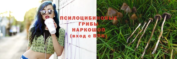 винт Алексеевка
