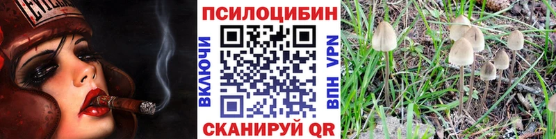 цены наркотик  ссылка на мегу tor  Галлюциногенные грибы мухоморы  Черкесск 